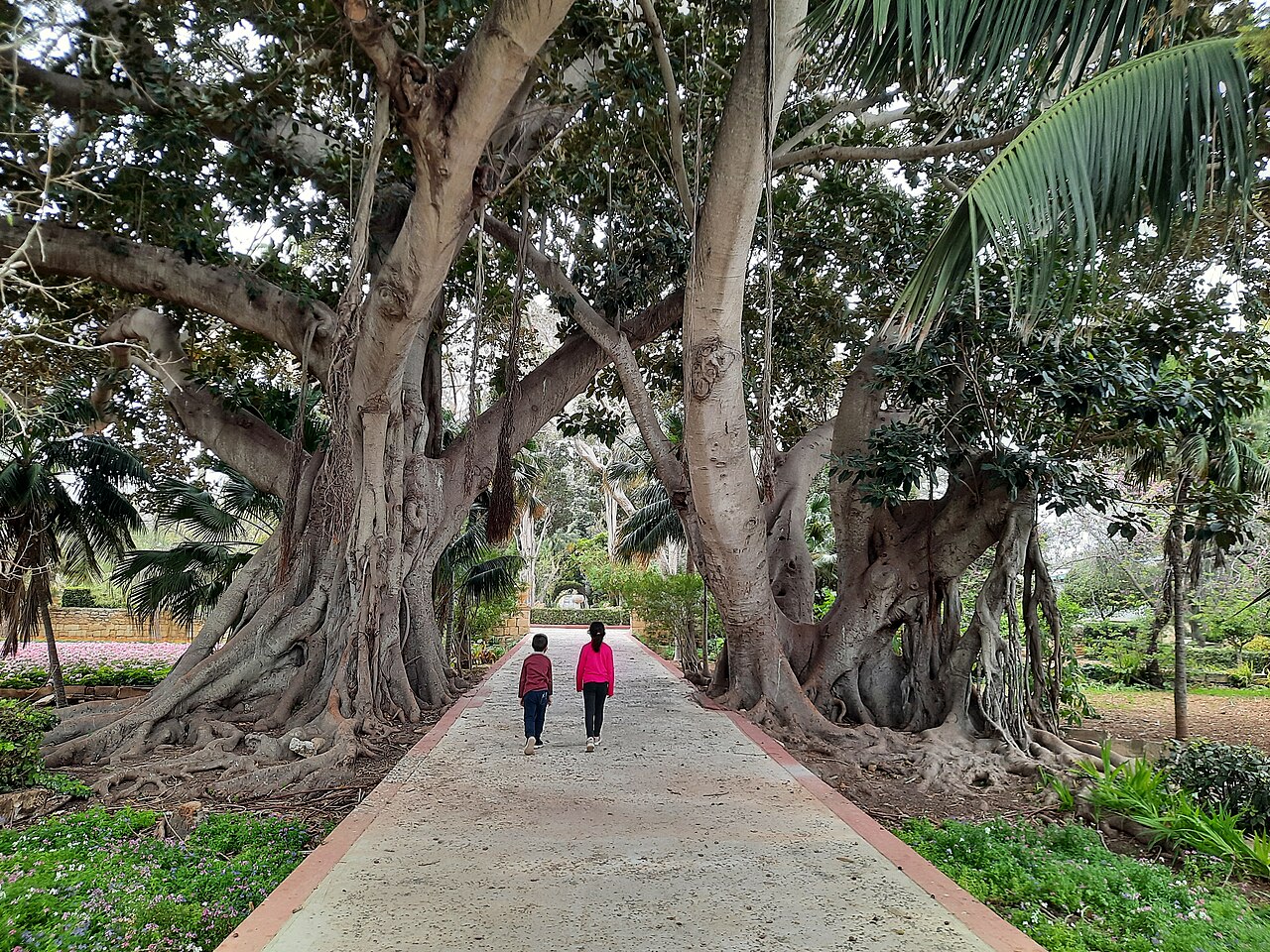 San Anton Gardens in Attard